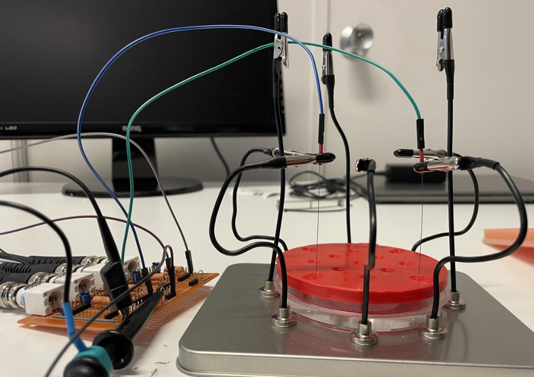 Electrode Setup for In Vitro Measurement